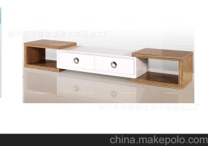 公司介绍