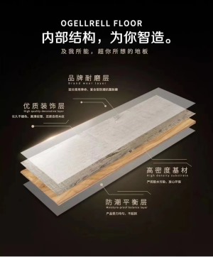 公司介绍