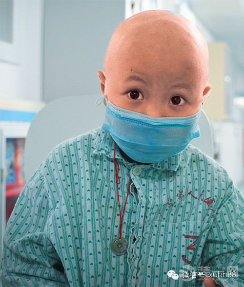 我们是如何让孩子患上白血病——每一次转发都是挽救一条生命